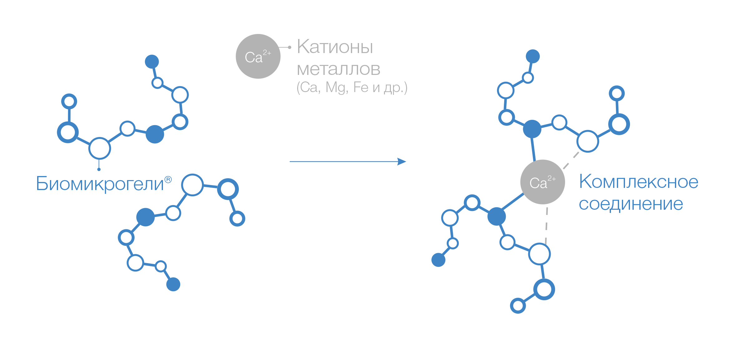Механизм комплексообразователя