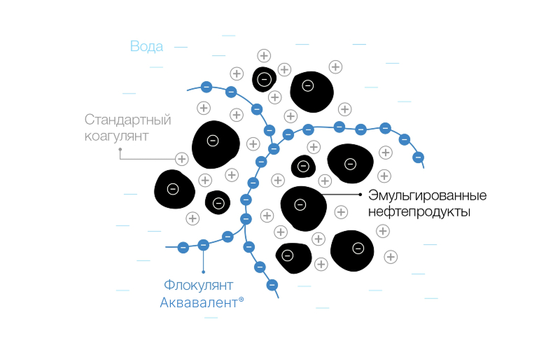 Component 5 (5).png